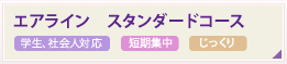 エアライン　スタンダードコース 学生、社会人対応 短期集中 じっくり