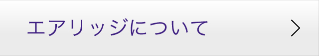 エアリッジについて